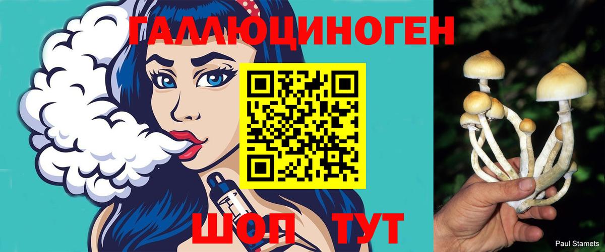 Ковров  Галлюциногенные грибы мухоморы  Вход с VPN 